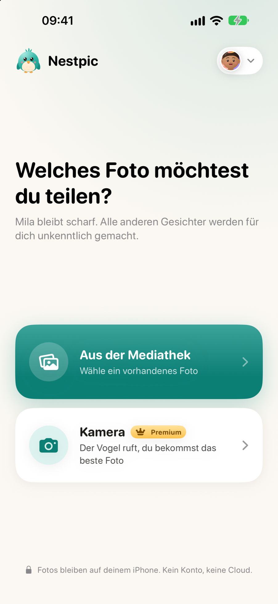 Ein Foto in Nestpic auswählen